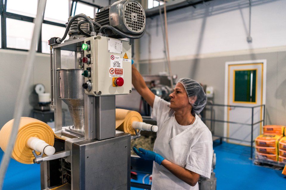 Fresh pasta machine