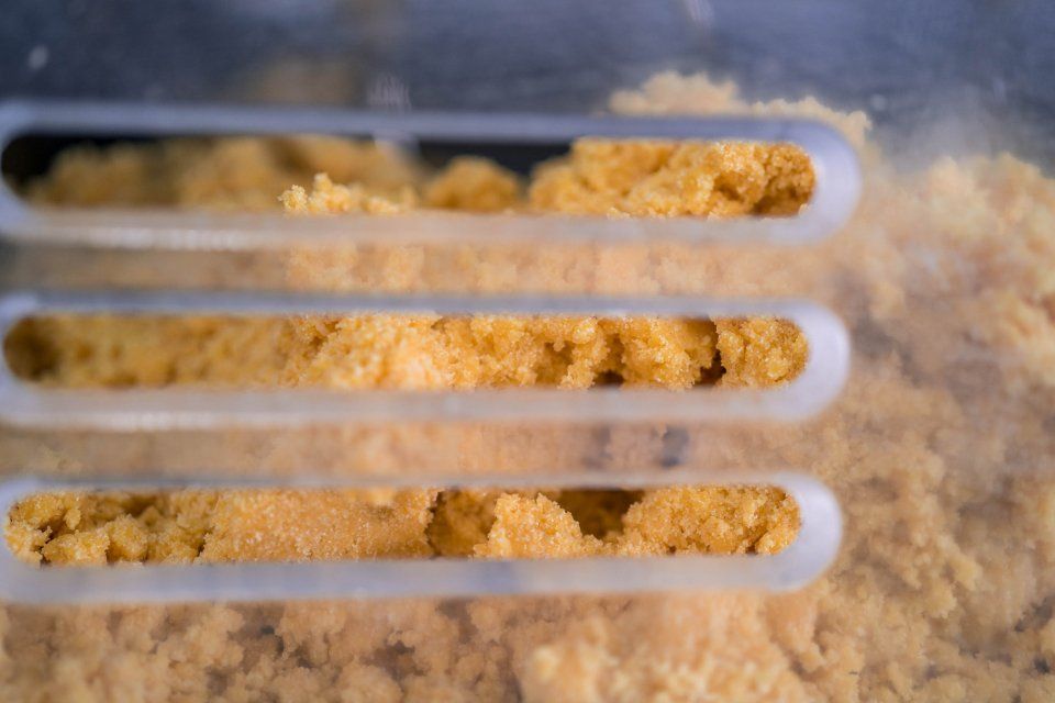 Artisanal pasta