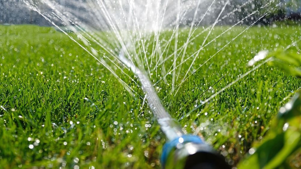 A close-up view of a garden sprinkler spraying water over a lush, green lawn in a yard.