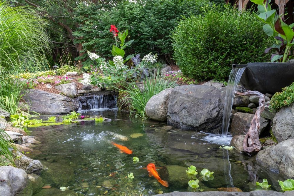 Two koi fish swim in a rocky garden pond with a small waterfall, surrounded by lush greenery and flowers.