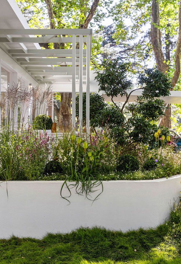 White pergola frames a garden bed filled with plants, trees, and wildflowers, with green moss at the base.