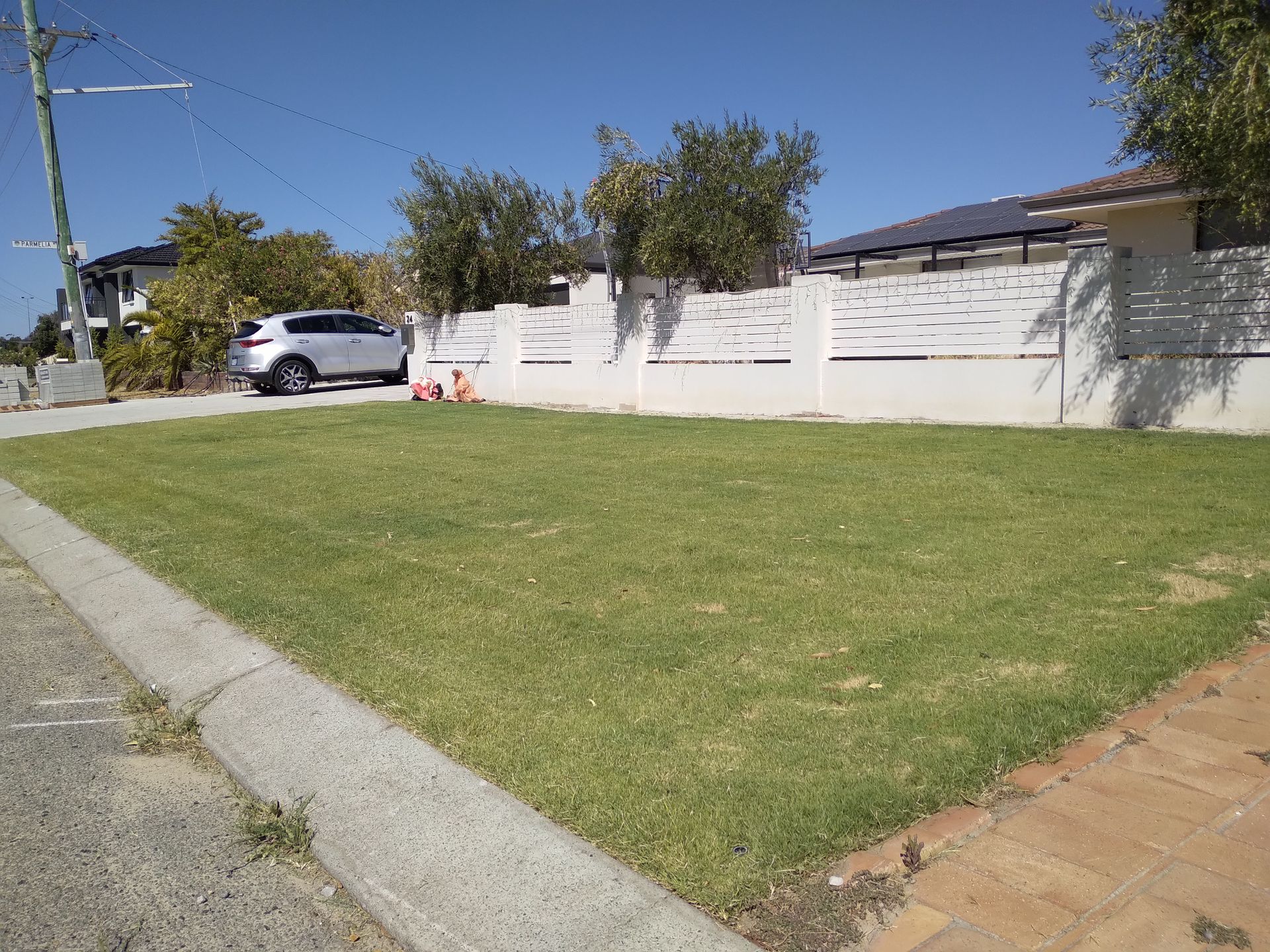 When is the Right Time to Mow Your Grass?