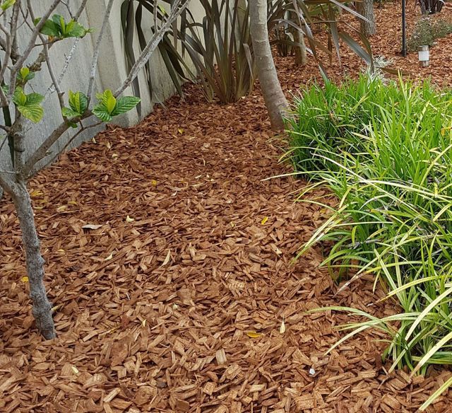 Bagged Mulch Perth Two Gloves