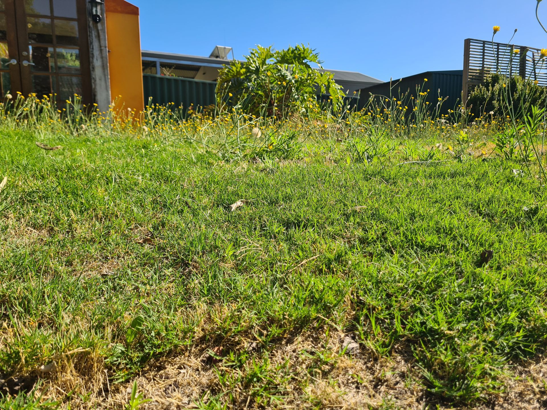 Before Image