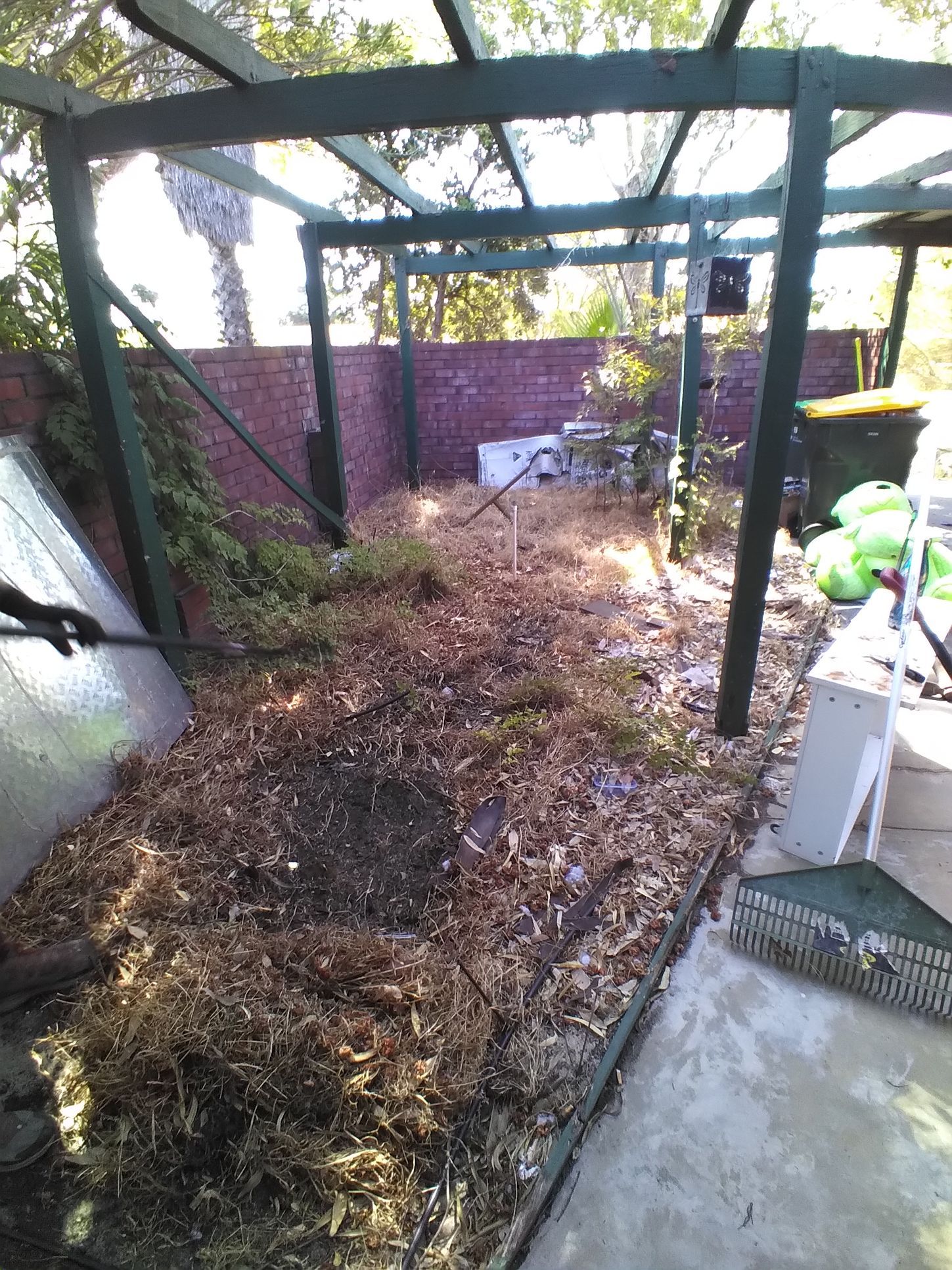 Before Image