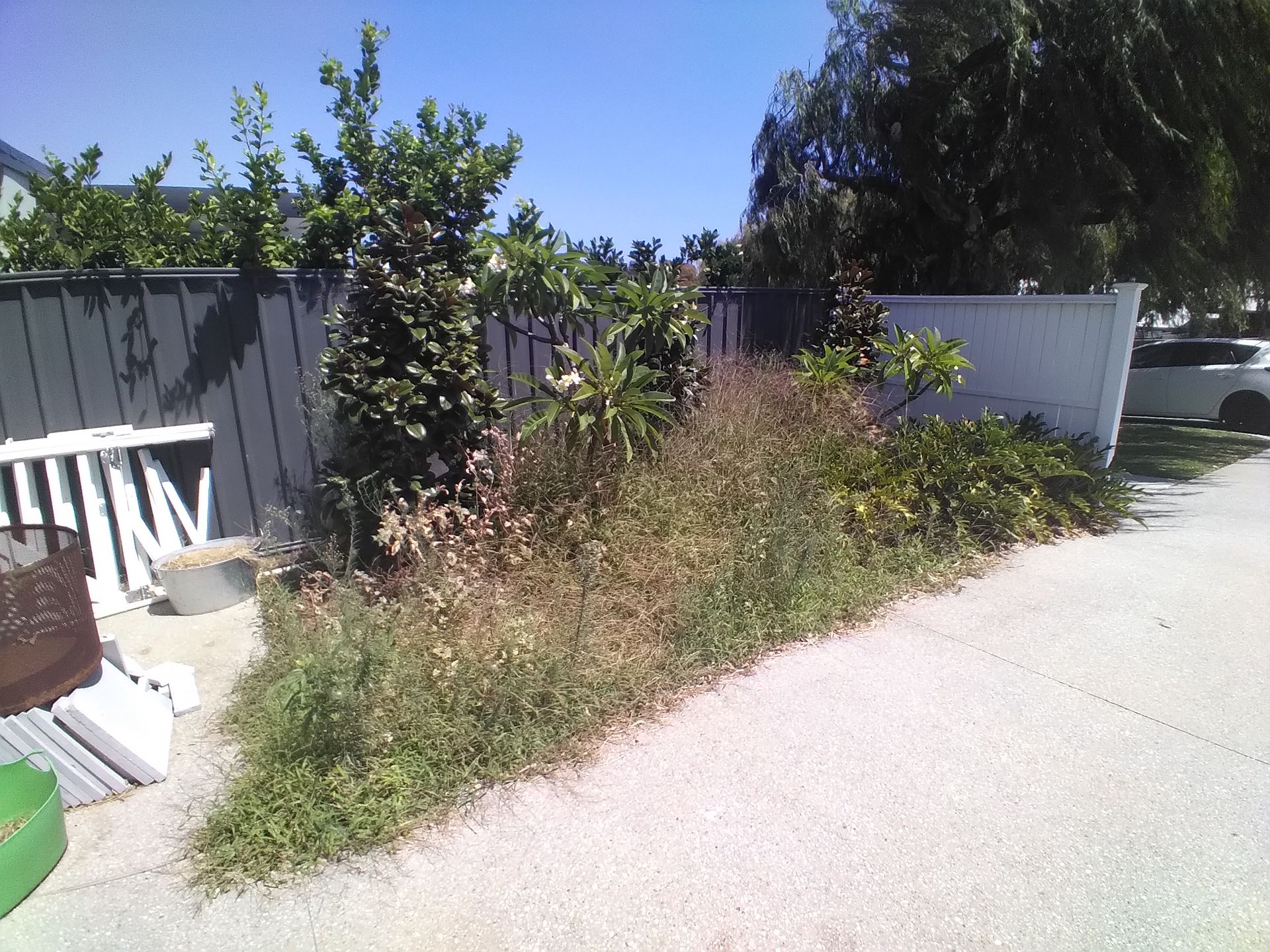 Before Image