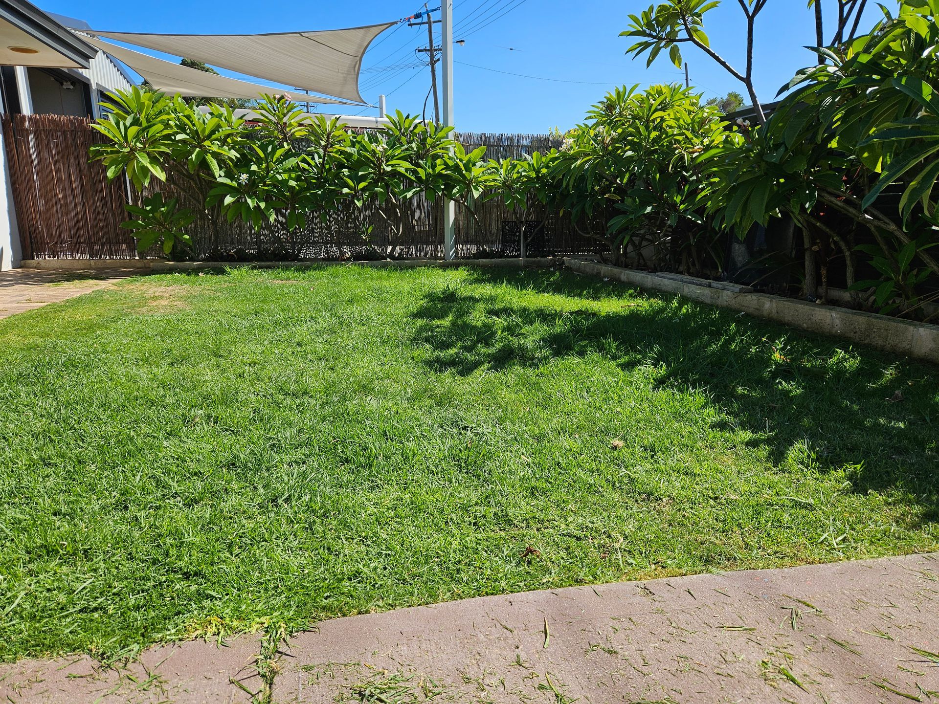 before mowing beldon