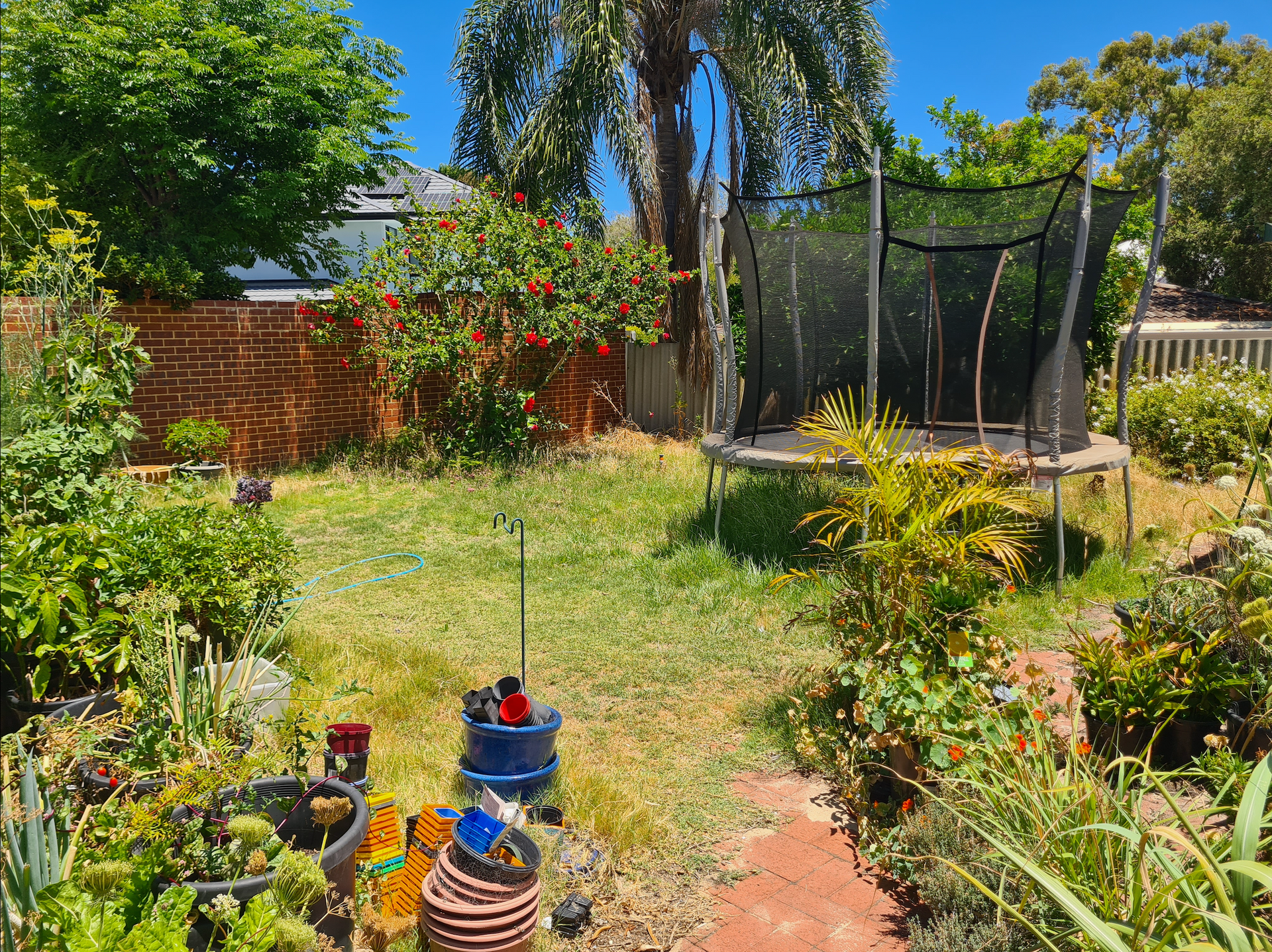 Before Image