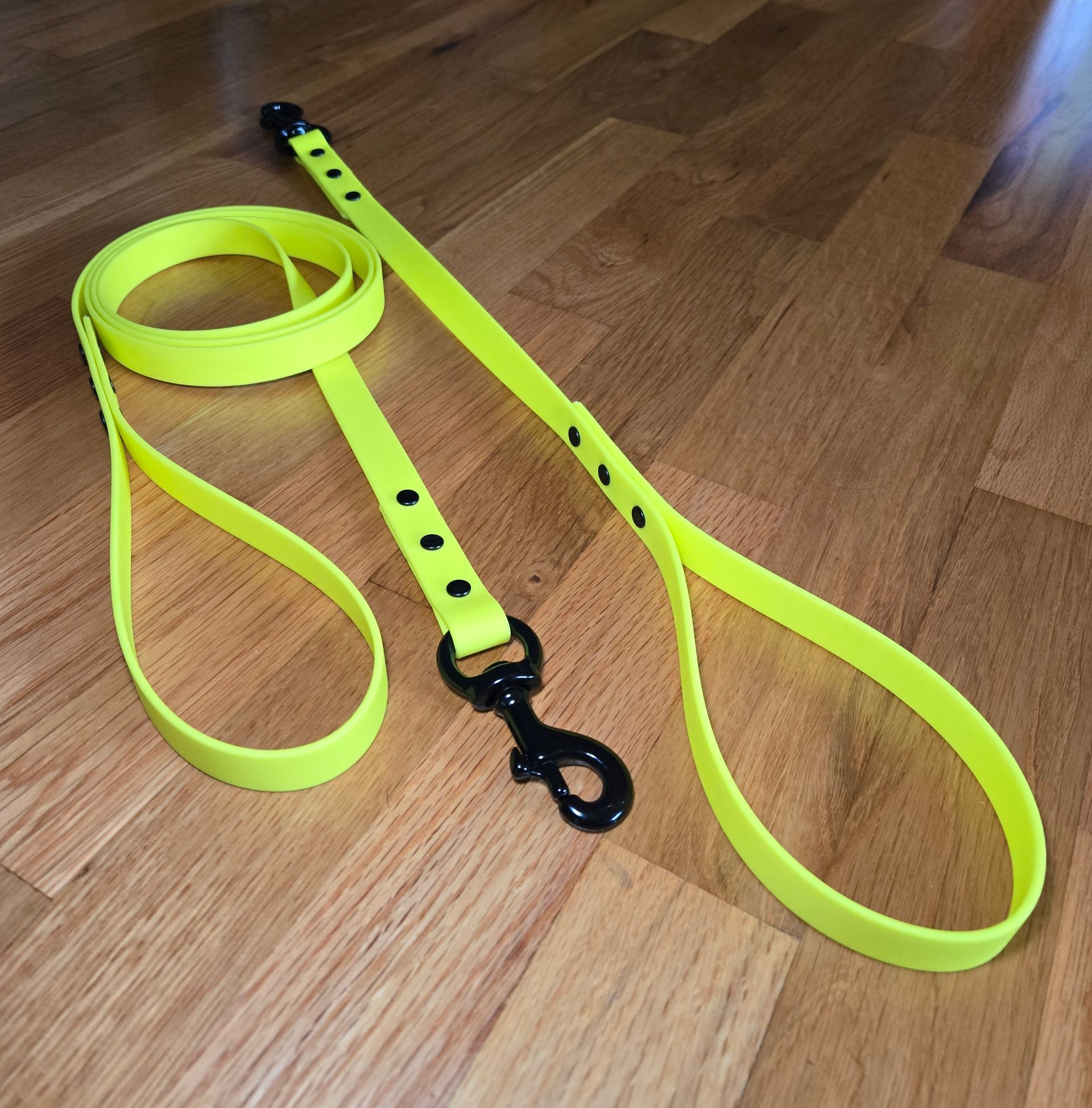 Dog Leashes