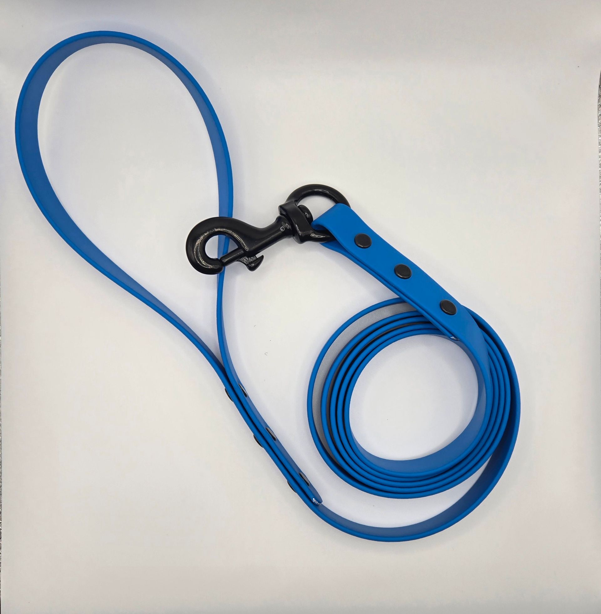 Standard 6 Foot Dog Leash