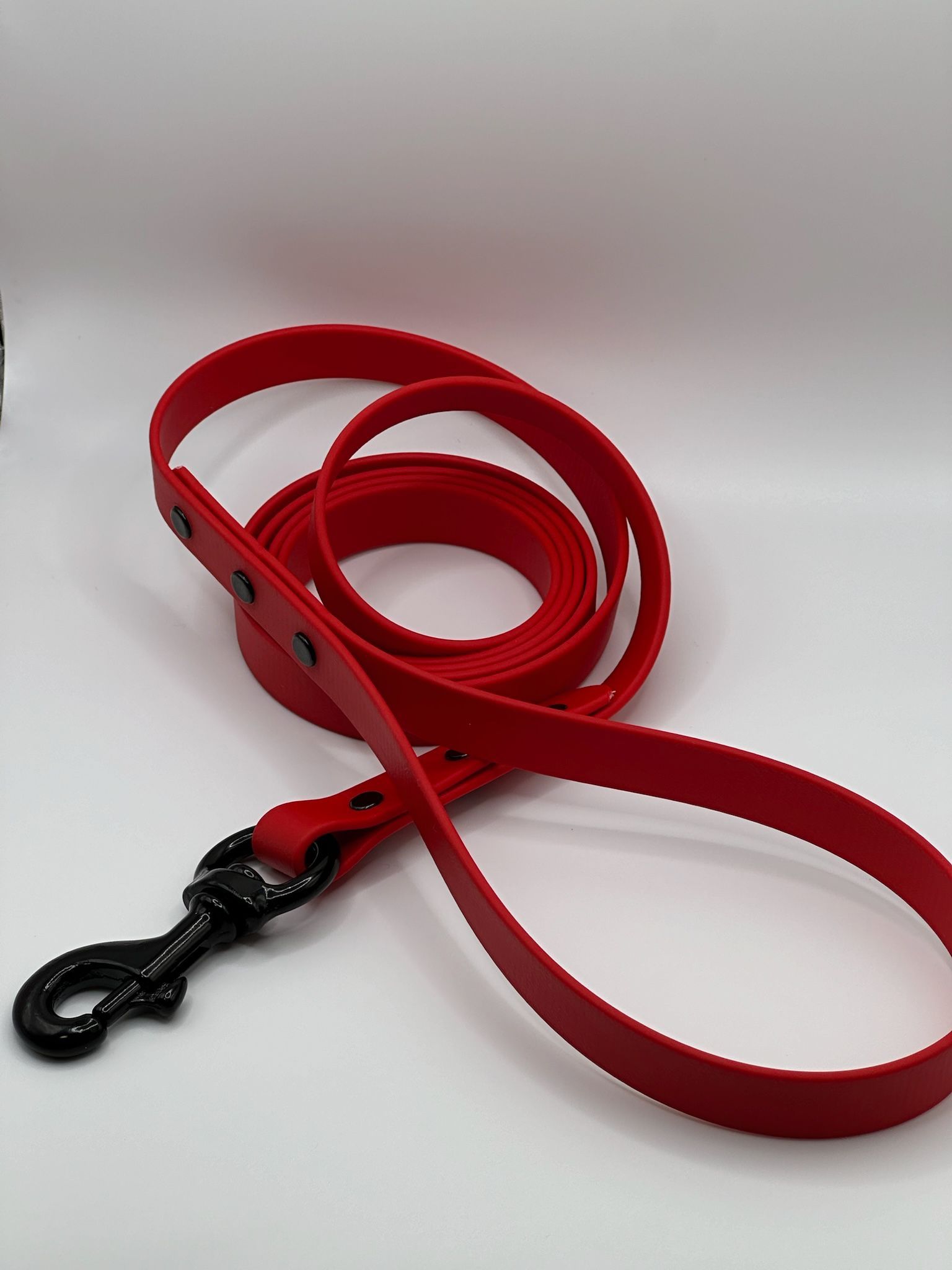 Standard 6 Foot Dog Leash