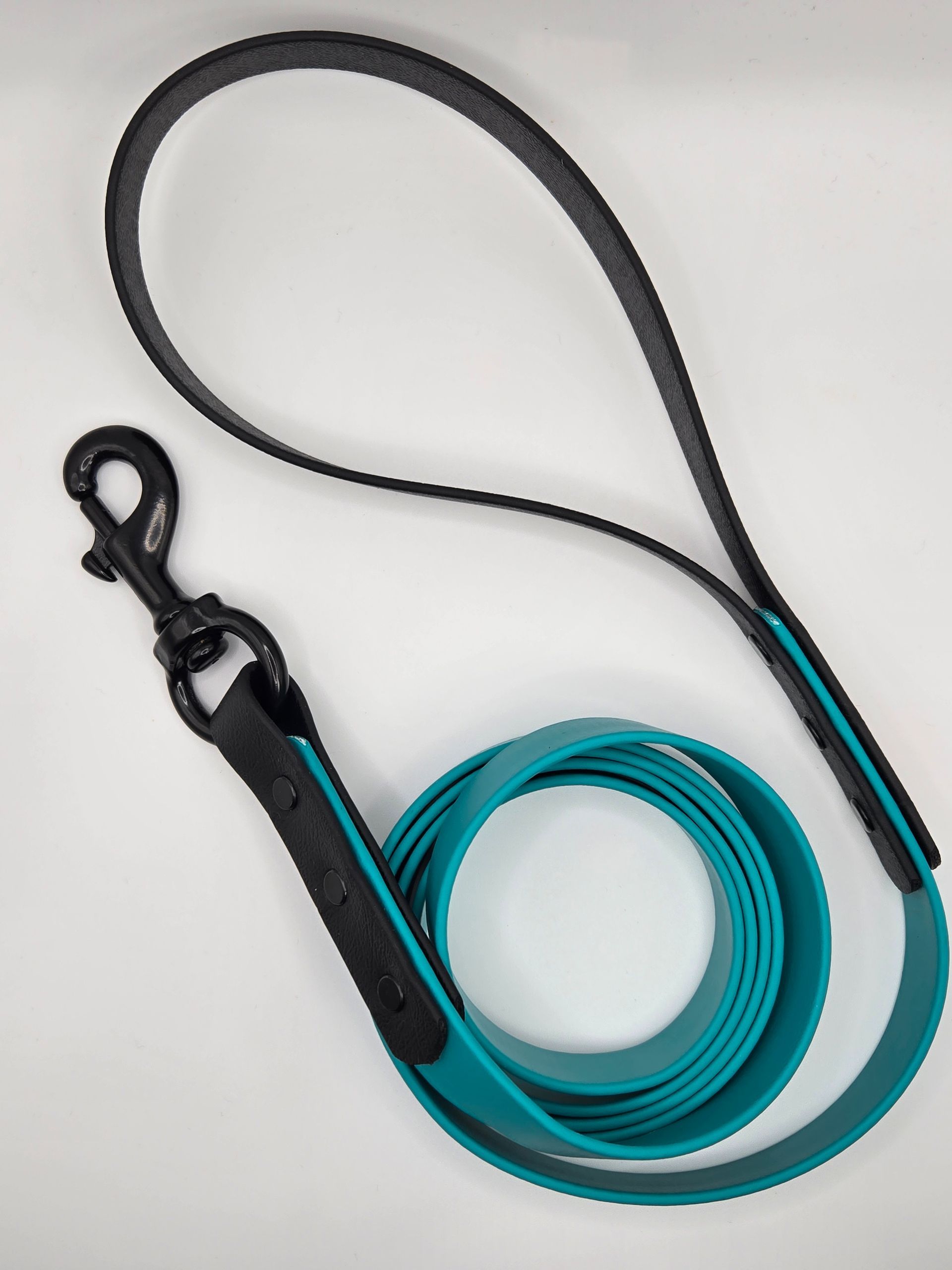 Standard 6 Foot Dog Leash - Multicolor
