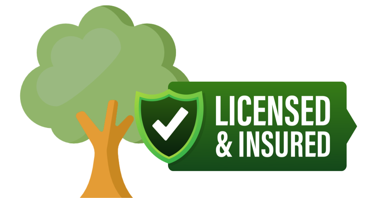 Lincense and insured 