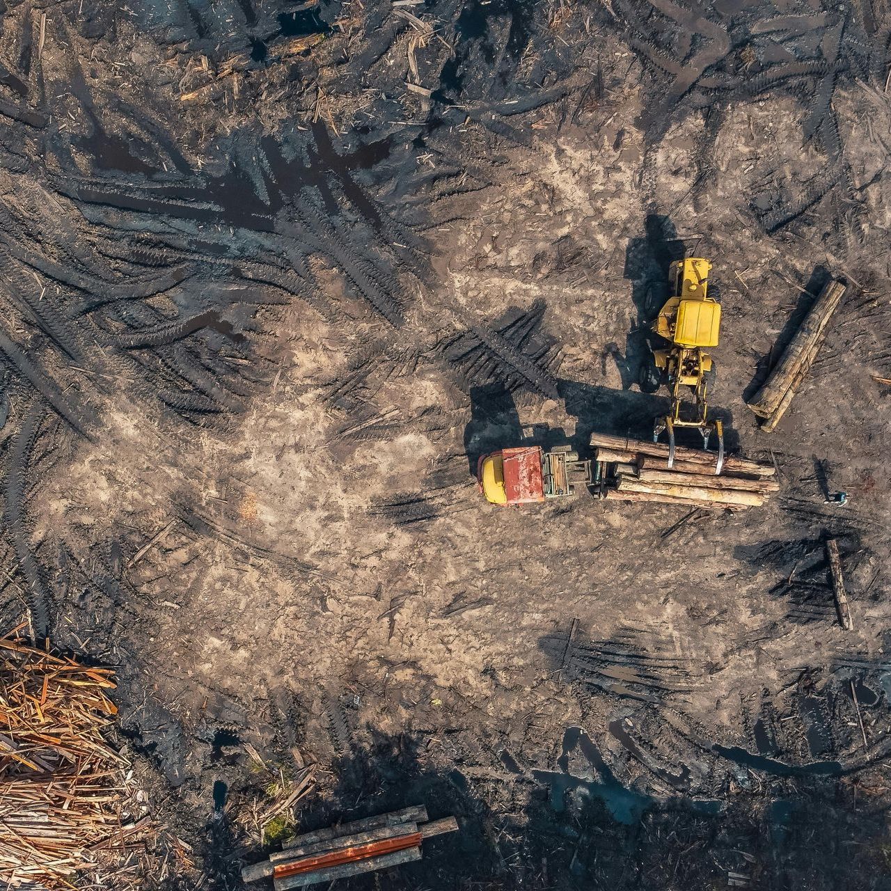 Land Clearing, Lake and Porter County 