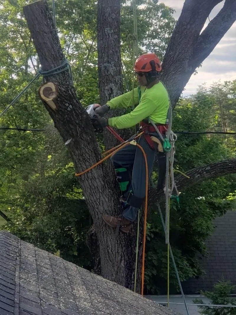 An arborist in a bright green shirt and safety gear uses a chainsaw to trim a tree limb near a shingled roof.