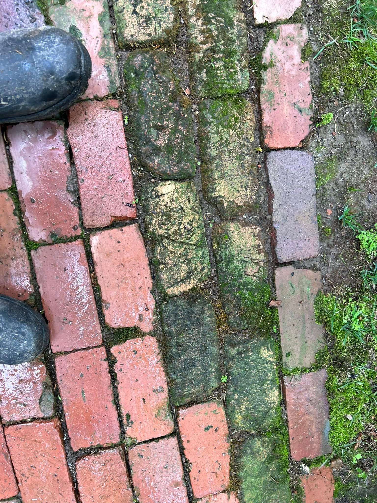 Moss-covered bricks and paving stones in red, gray, and green tones.