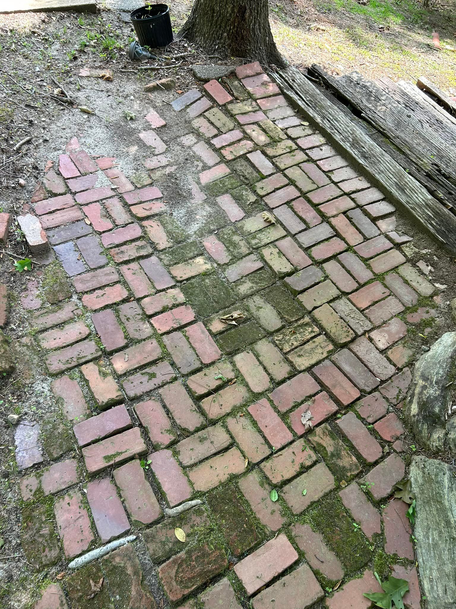 Mossy brick pathway with uneven pavers beside a wooden edge and gravel ground