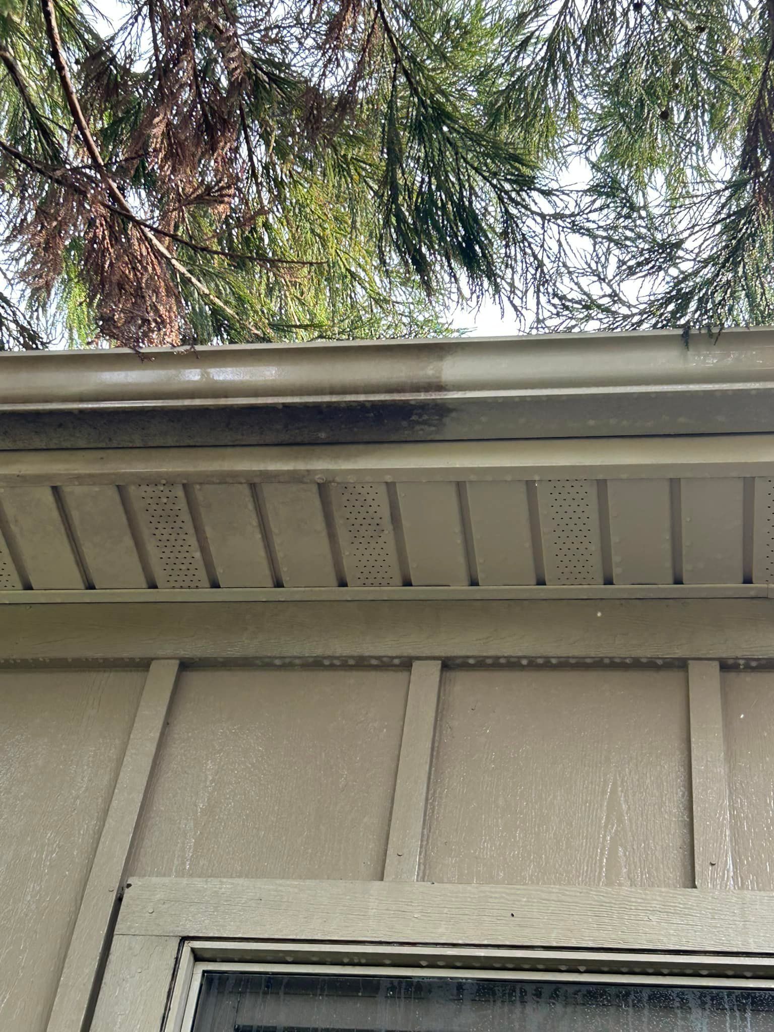 Close-up of a beige house exterior with roof eaves and tree branches above