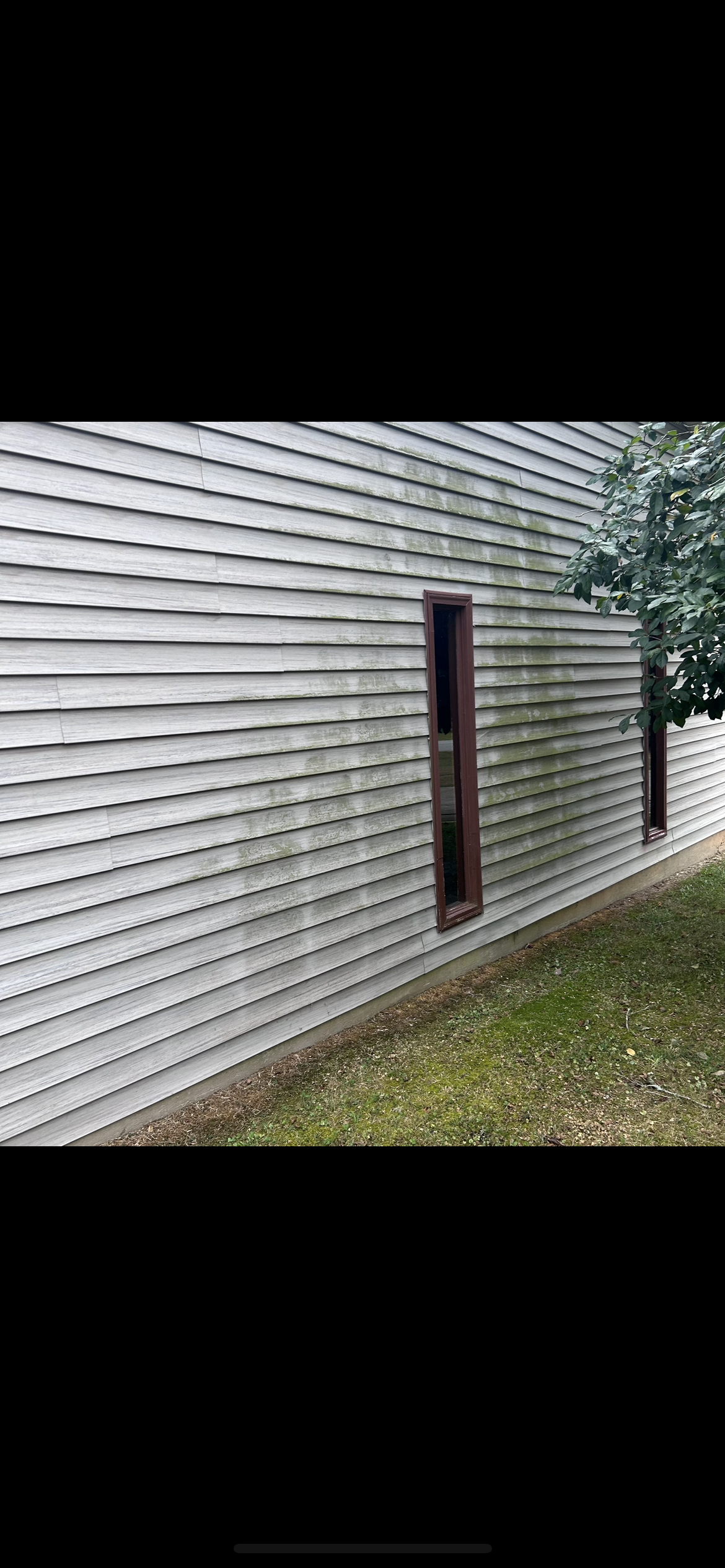 Gray siding on a building with brown windows. Green grass is in front of the building.