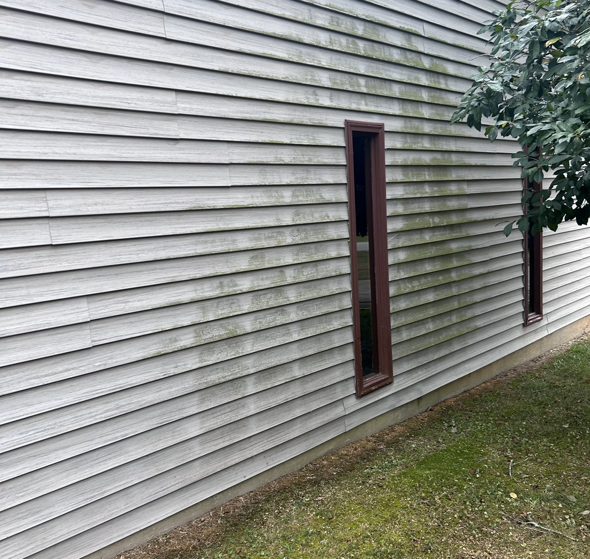 Gray siding on a building with vertical brown windows and green algae growth.