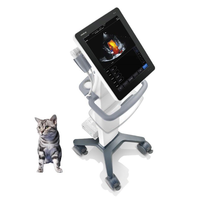 MINDRAY TE5— X-Ray Equipment in Texas MINDRAY TE5— X-Ray Equipment in Texas