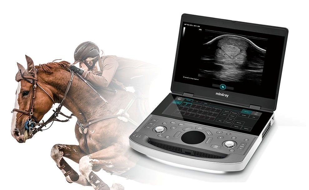 MINDRAY VETUS EQ — X-Ray Equipment in Texas MINDRAY VETUS EQ — X-Ray Equipment in Texas
