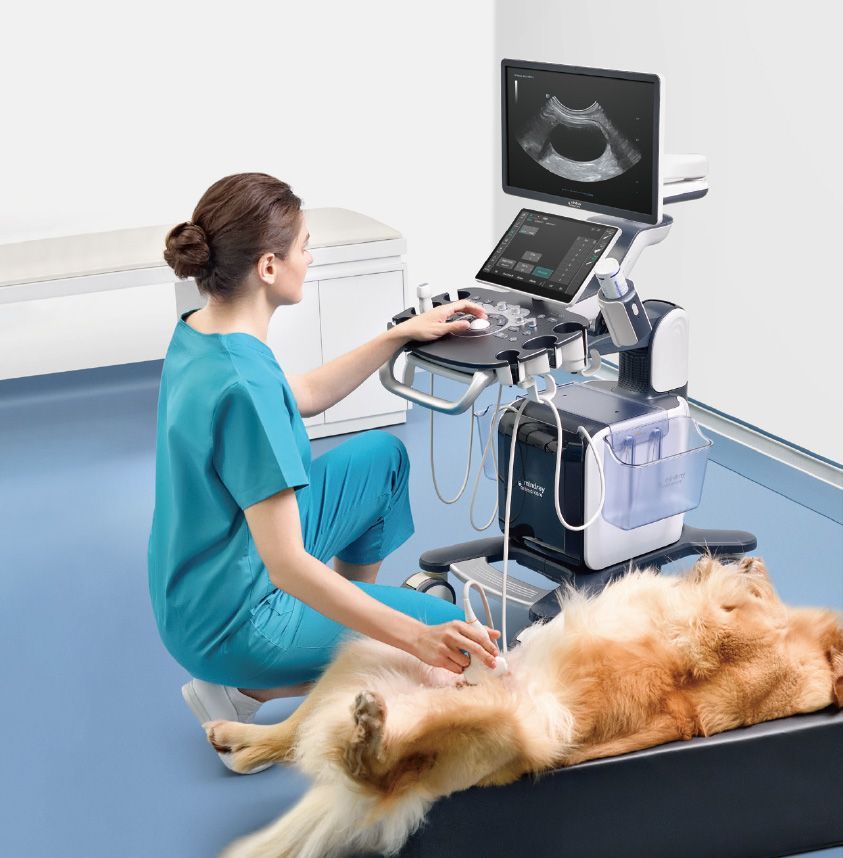 MINDRAY VETUS 50 — X-Ray Equipment in Texas MINDRAY VETUS 50 — X-Ray Equipment in Texas