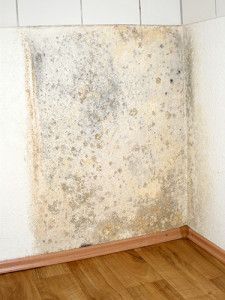 Cleaning Services