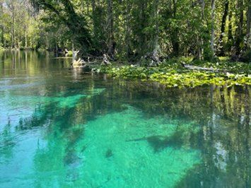 Silver River