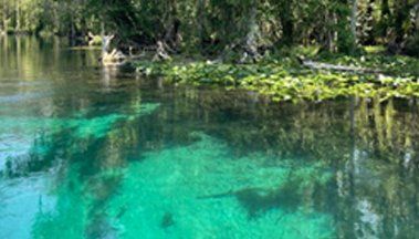 Silver River
