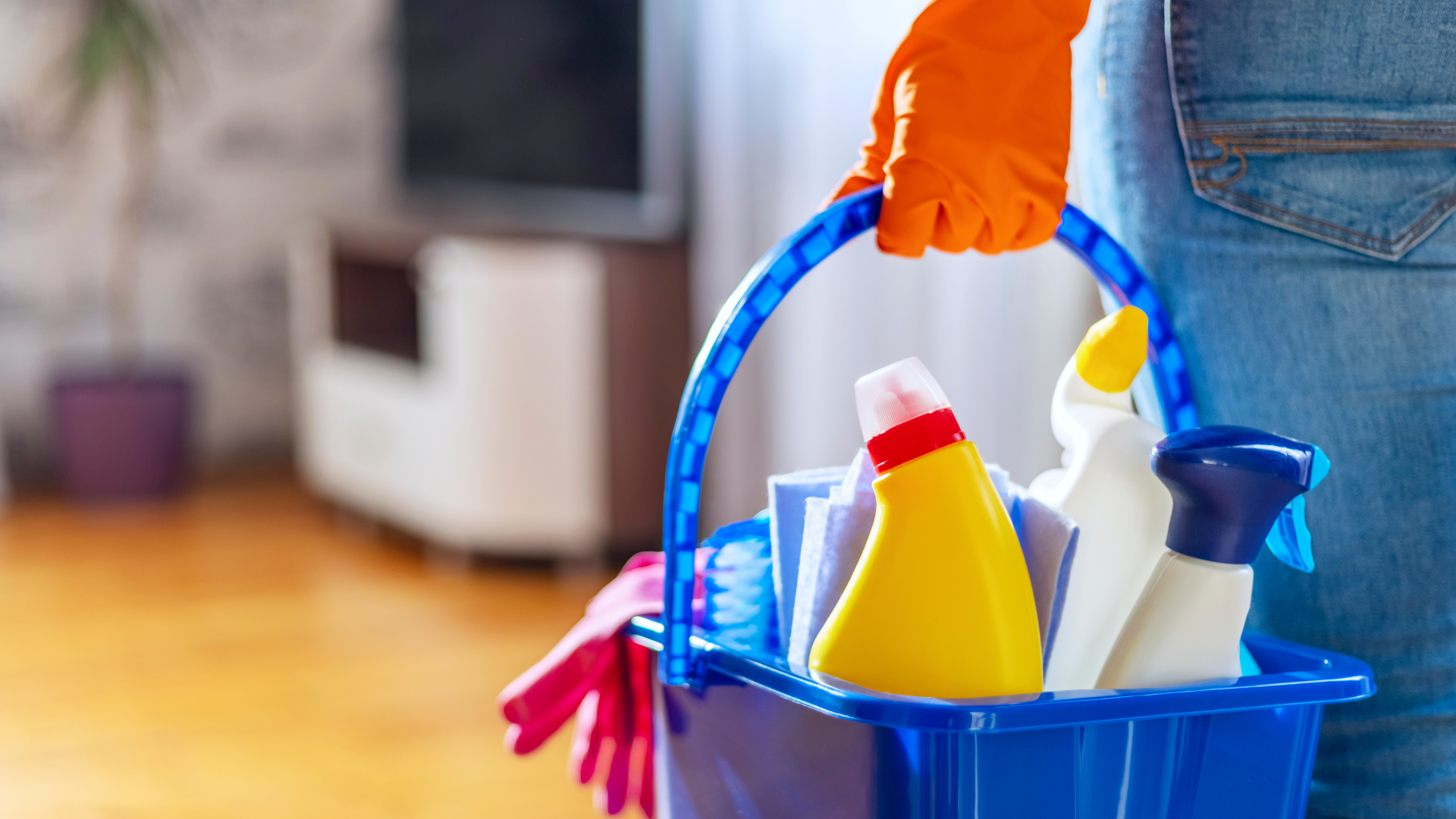 A person is holding a blue bucket filled with cleaning supplies.