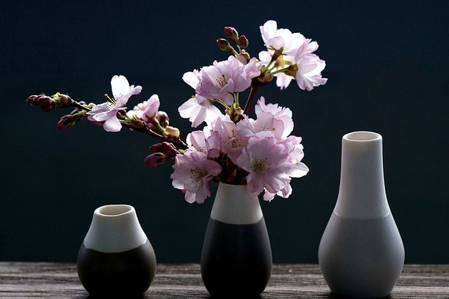cremation services in Phoenix, AZ