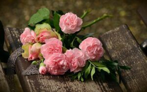 cremation services in Scottsdale AZ