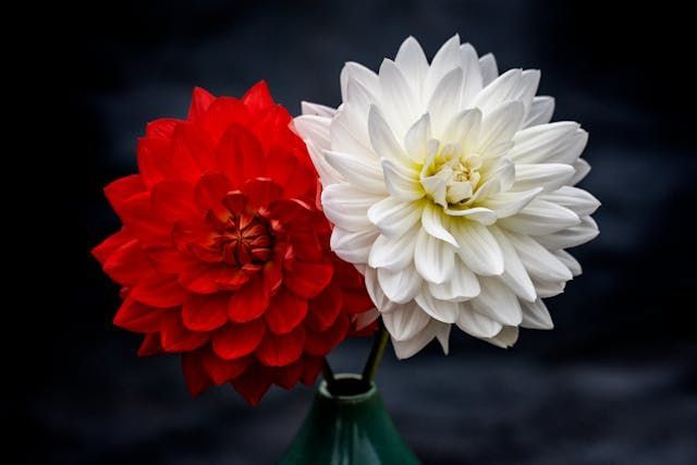 funeral homes in Phoenix, AZ