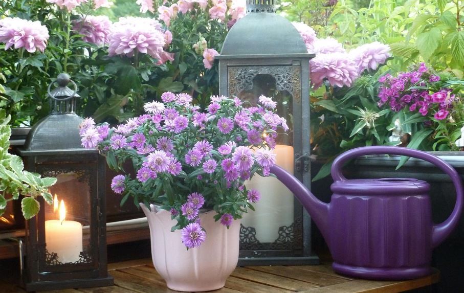 Lavender daisy bouquet by candle lanterns on patio table, funeral homes Phoenix, AZ