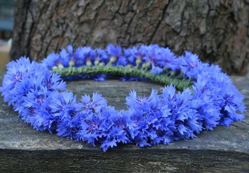 Handmade blue cornflower wreath resting on rustic wood, cremation services Phoenix, AZ