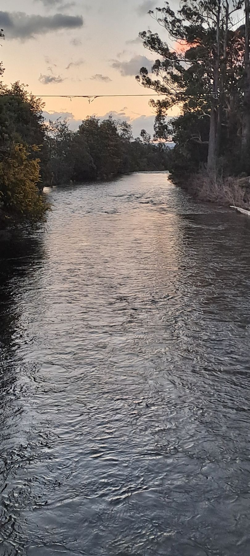A river flows through trees under a dusky sky.
