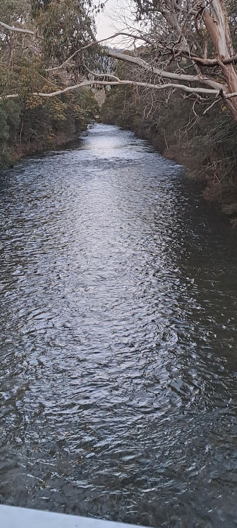 A river flows between tree-lined banks, reflecting the sky.