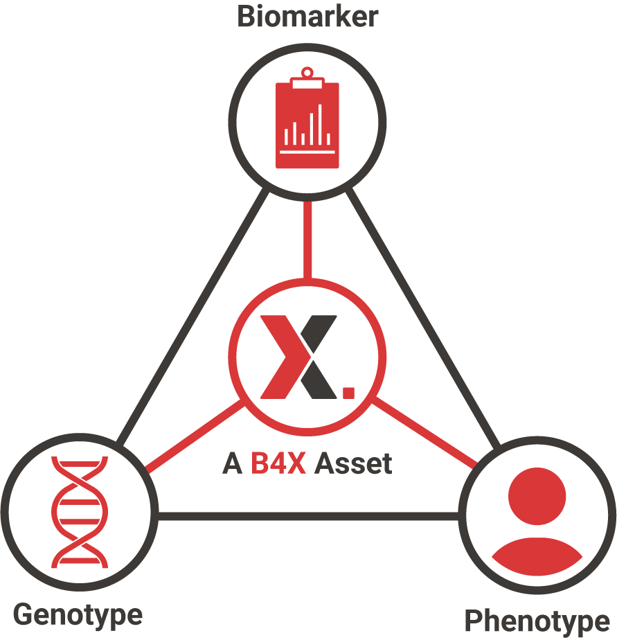 Graphic showing a B4X asset = Genotype, Phenotype, Biomarker