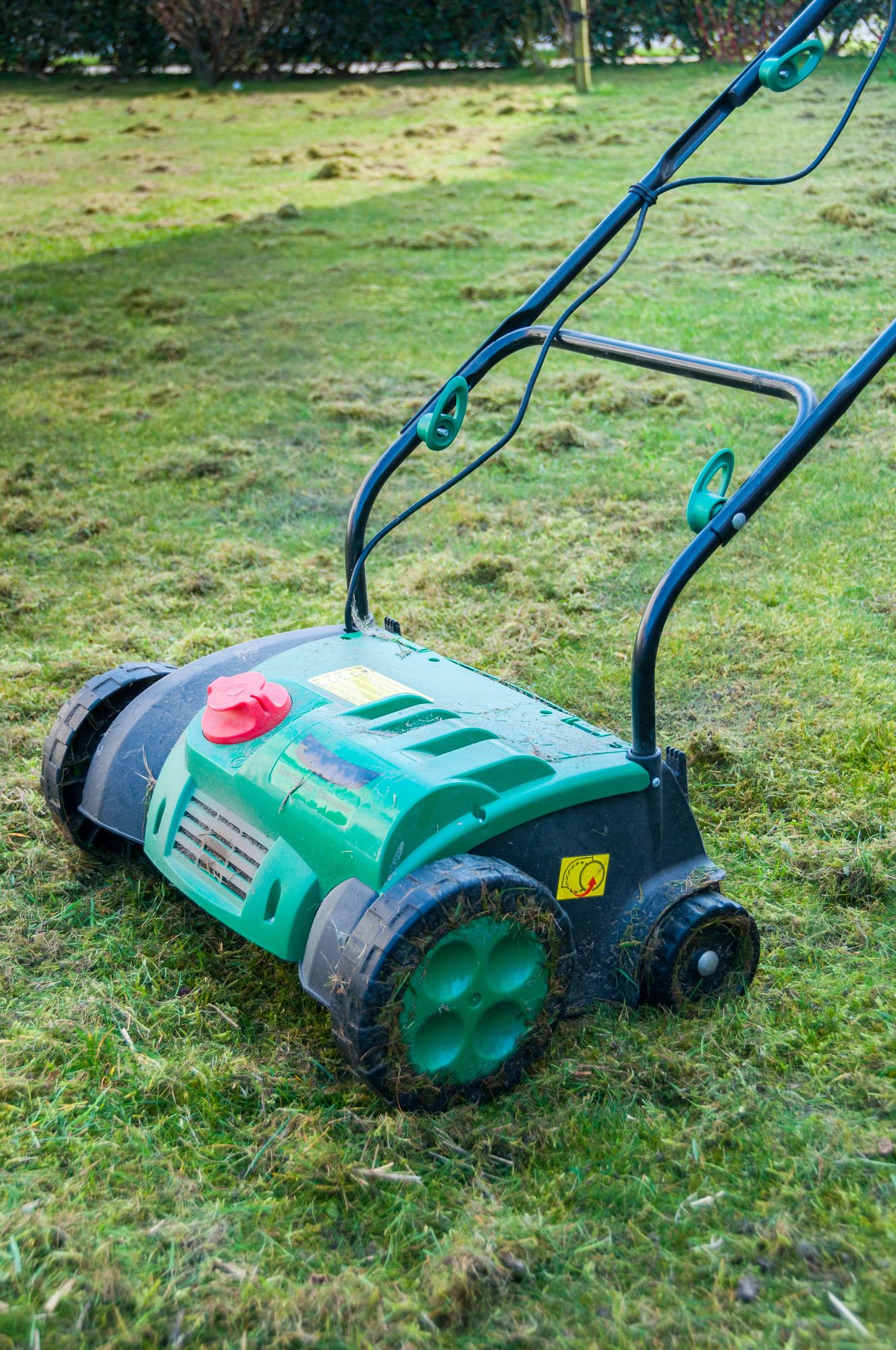 Green push lawn mower on grass with a blue handle in a yard