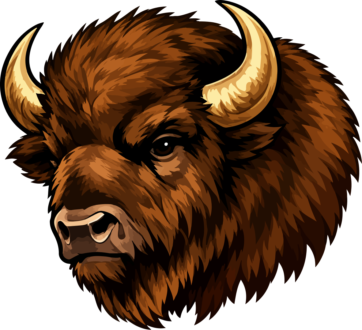 Illustrated brown buffalo head with curved tan horns, facing forward on white background