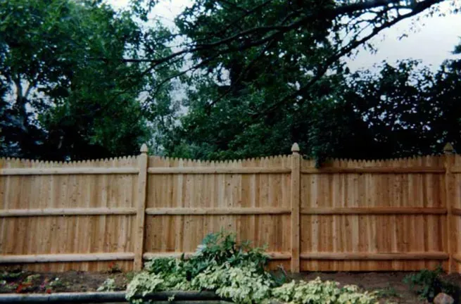 A wooden fence is surrounded by trees in a backyard.