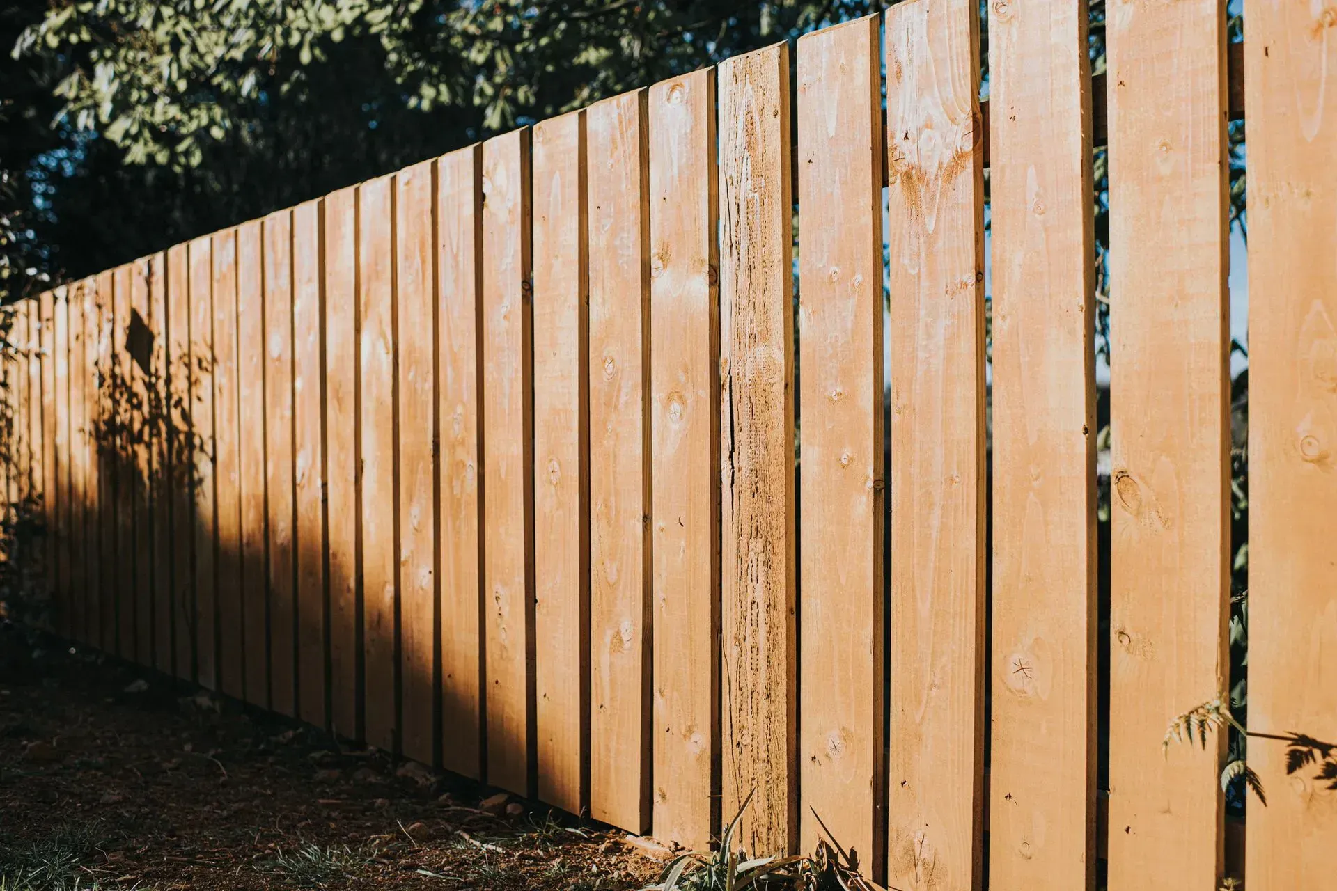 A close up of a wooden fence with trees in the background.