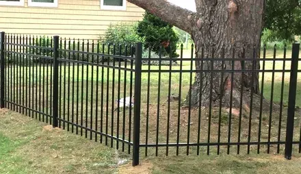 A black metal fence surrounds a large tree in a yard.