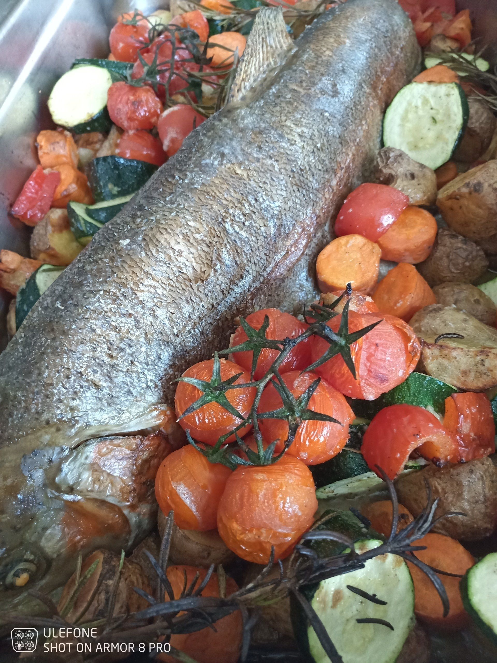 Fisch