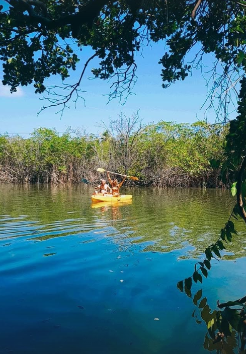 Caiaque amarelo em água azul, remado por pessoas perto de árvores verdes sob um céu azul.