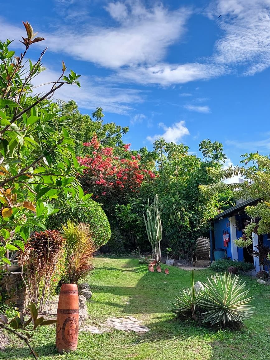 Jardim exuberante com uma casa azul, folhagem verde, flores vermelhas e um céu azul claro com nuvens.