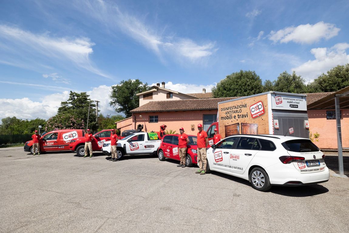 Operatore disinfestazione
