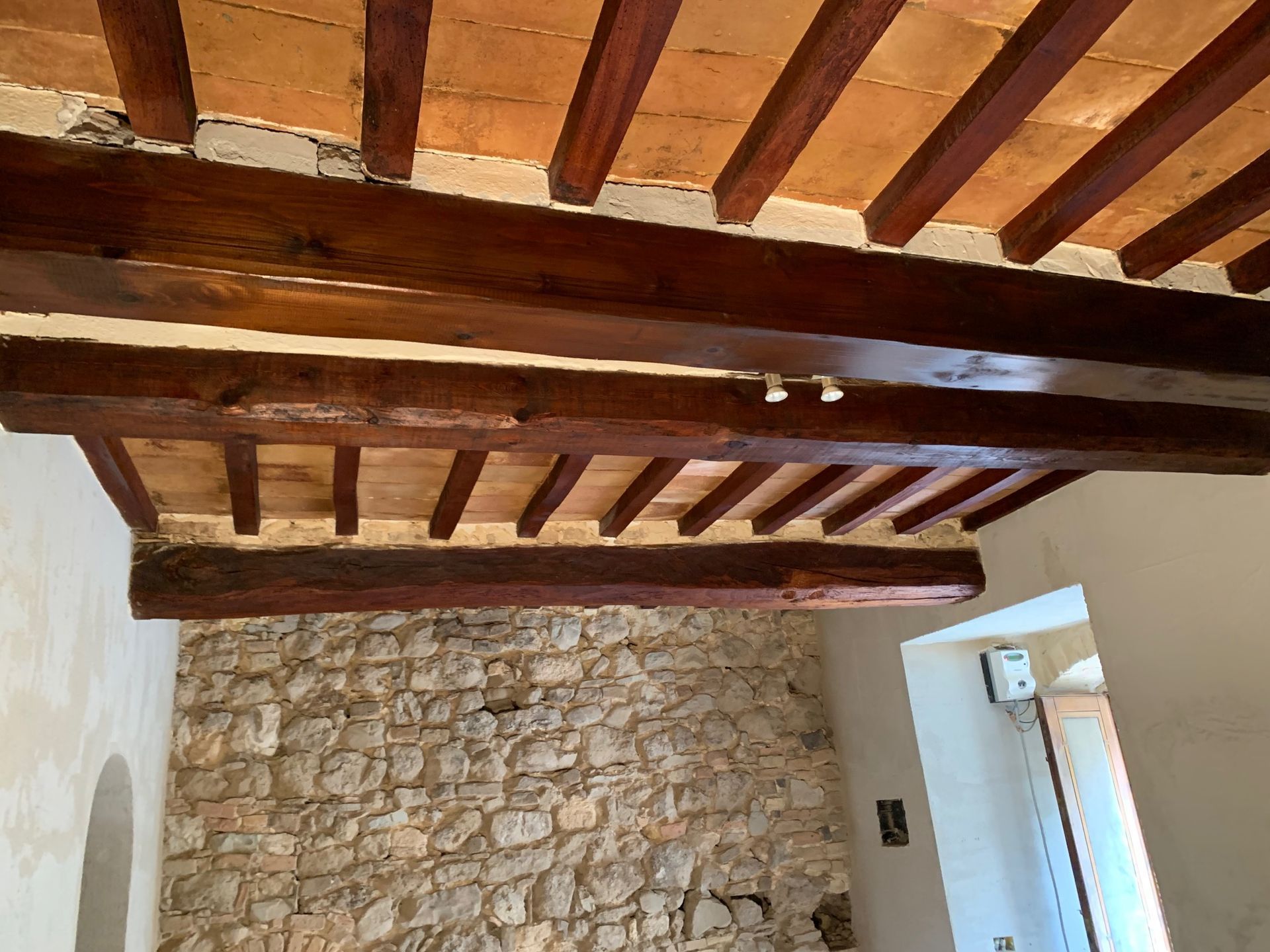 Parassiti del legno
