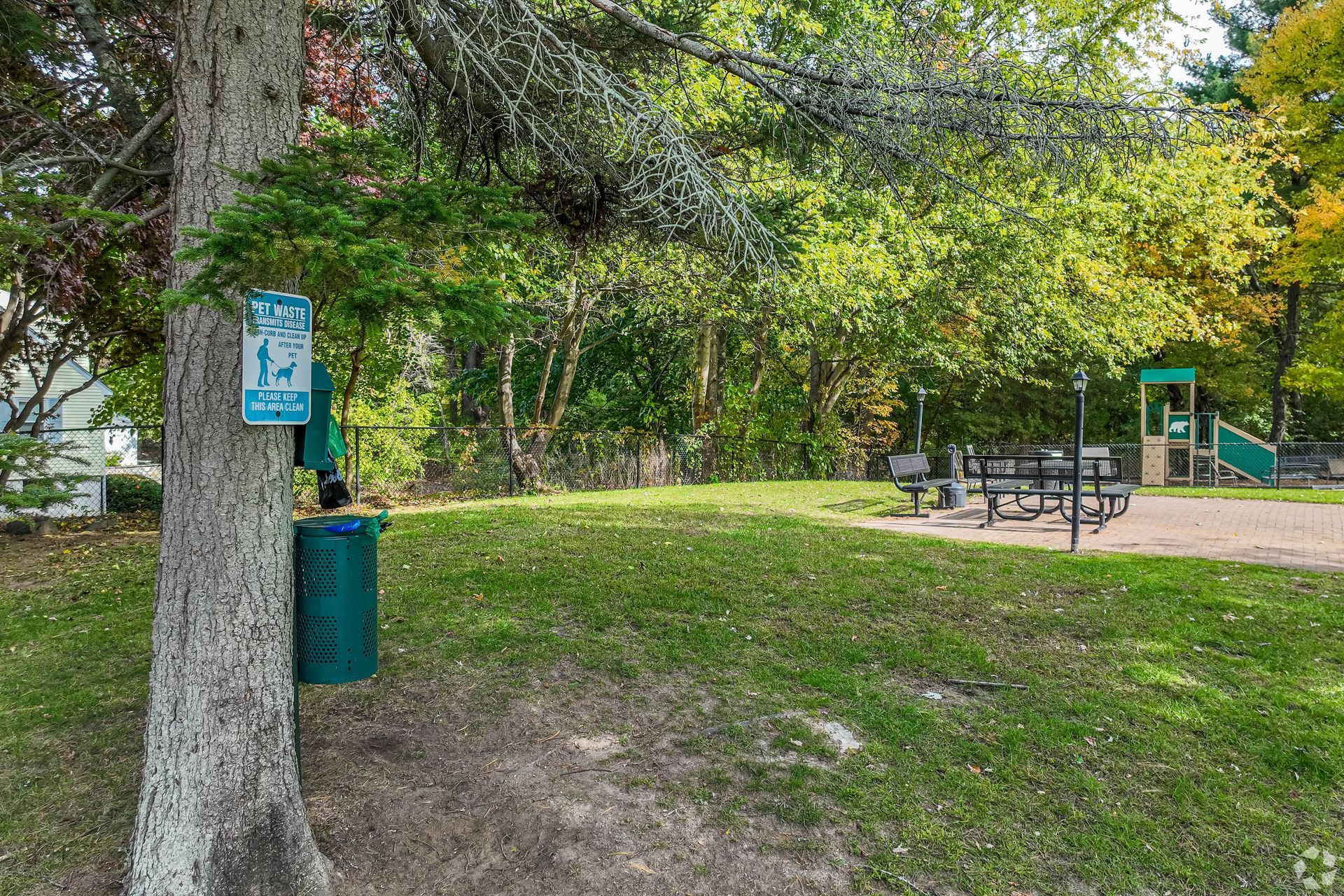 Outdoor pet area with trees and seating at Waltham Overlook Apartments in Waltham, MA